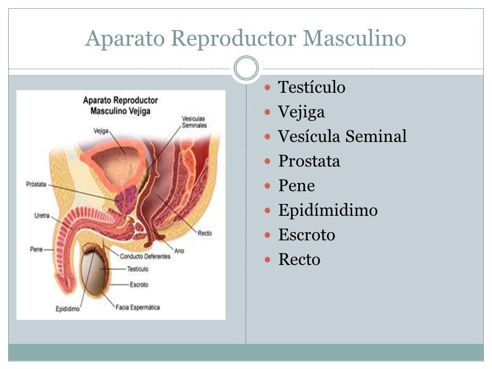 Por que modo es posible aumentar el espesor del miembro